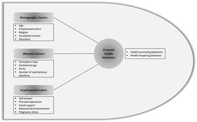 Psychosocial factors associated with health behaviors in pregnant women of advanced maternal age in Korea